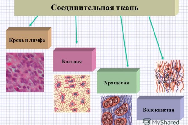 Как зарегаться на кракене