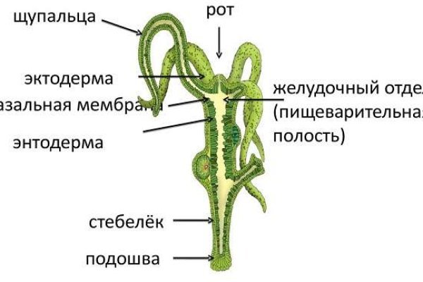 Купон кракен даркнет